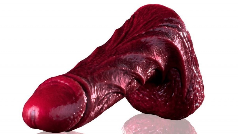 Fleshlight Drac Freaks Dildo | PHILIPPINES 6495IAY